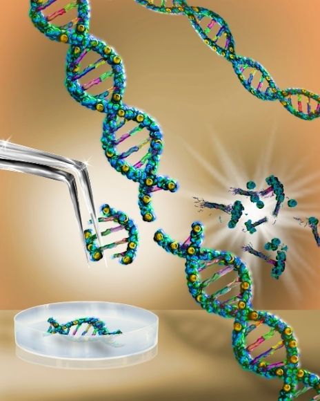 biyolojik okuryazarlık